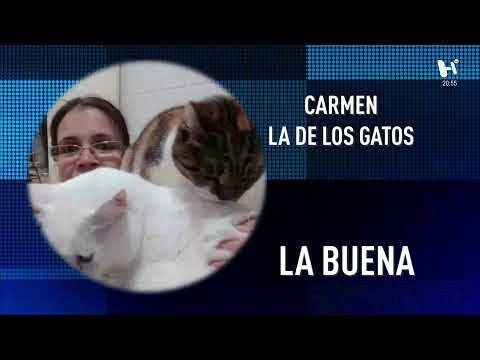 #DebateHeraldo - Hoy en nuestra mesa de análisis: Crisis Ambiental en México.