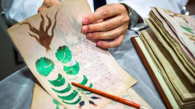 Libri më misterioz i botës që nuk po mund të përkthehet dot - Top Channel Albania - News - Lajme