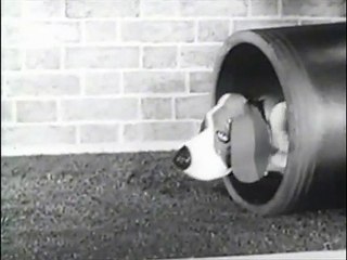 Gaylord  - Battery Operated Ideal Toy Dog