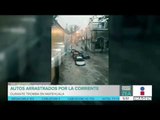 Lluvia deja avenidas inundadas y árboles caídos en México | Noticias con Francisco Zea
