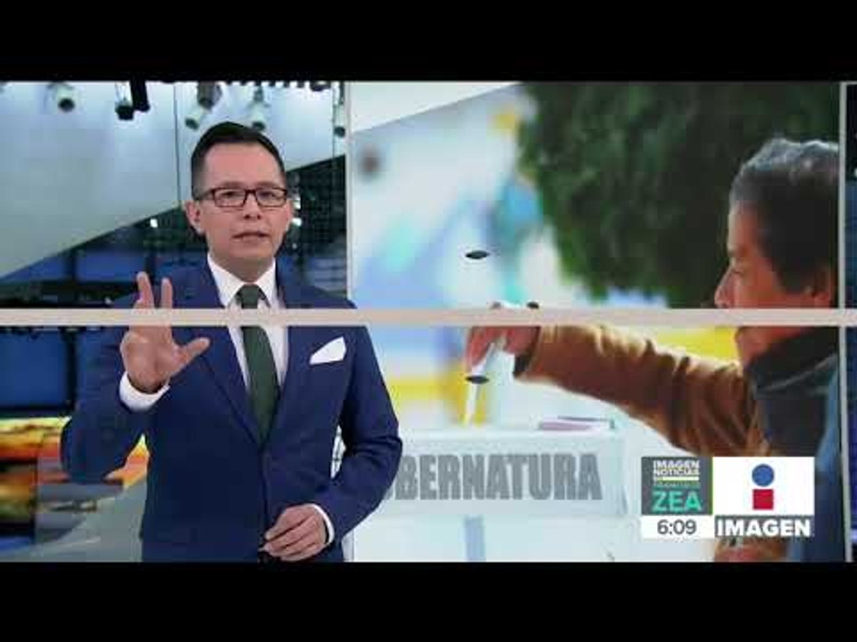 Así transcurrió la Jornada Electoral en Durango, Tamaulipas y Quintana Roo | Noticias con Paco Zea