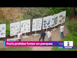 Download Video: Prohíbe París fumar en sus parques y jardines | Noticias con Yuriria Sierra