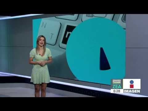 ¡Lunes de ternura! Mira a estos 3 pequeños gatitos jugando con su mamá | Noticias con Paco Zea
