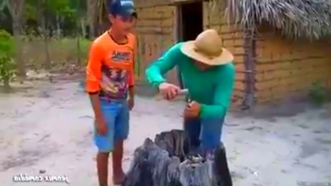 6 Videos más virales de la Semana |The most viral videos of this WEEK junio