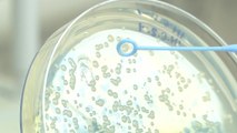 슈퍼박테리아 완전 정복...슈퍼 항생제 개발 / YTN