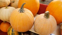 Farmers' Market Tips: Picking the Right Pumpkins for Cooking