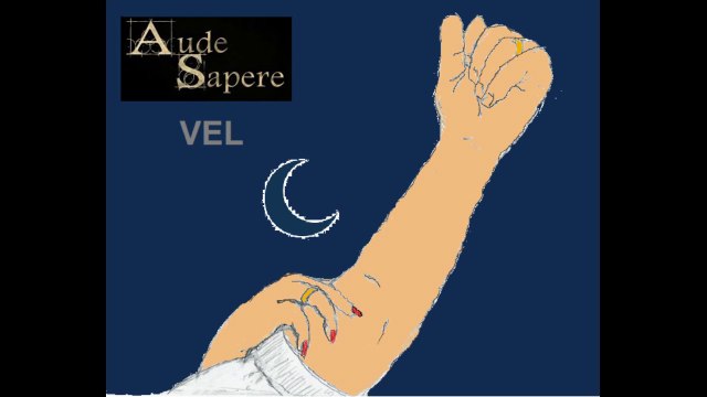 German State NRW Seeks Reform of Islam School Classes