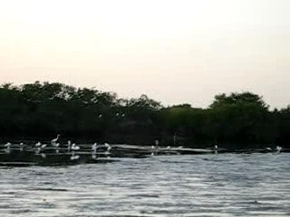 le spectacle de la nature applaudi par les enfants