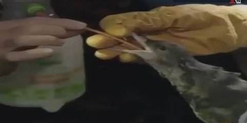 Público al Día - 3 de junio de 2019