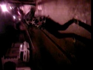 tecktonik killer lol