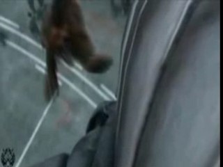 Final Fantasy Advent children