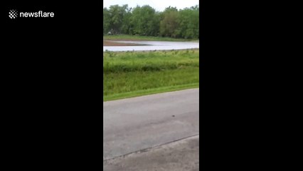 Buoyant bus braves flooded Illinois street to transport school kids