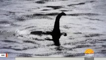 Scientists Claim 'Surprising' Results Suggest Loch Ness Monster 'Might Be Real'