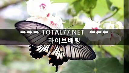 사설사다리ЖЖЖ TΟtaL77.NET ЖЖЖ홀짝사이트 사설사다리