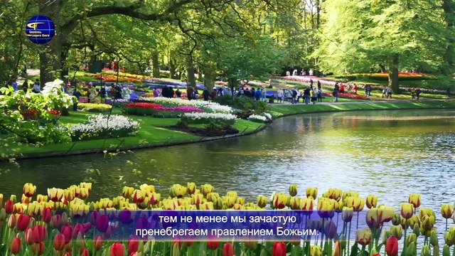 Восточная Молния | Слово Божье «Сам Бог уникален. Часть VII Глава 2» Бог есть источник жизни для всего сущего (II)