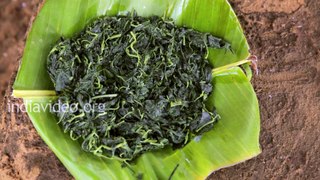 Tribal cuisine made of Spinach - Senthal Adaku India Video