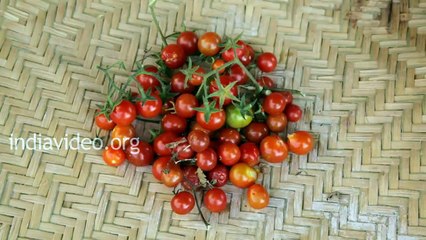 Tribal Dish Made Of Forest Beans - Kattumocha Kulambu India Video