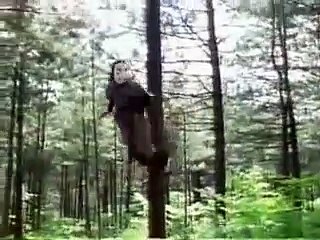 우리계열사이트／／ FV43。ＣＯＭ ／／mit수학천재들의카지노무너뜨리기