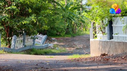 Uppum Mulakum│Flowers│EP # 869