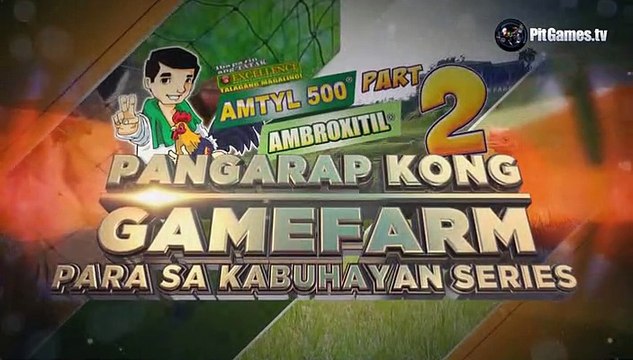 Pangarap Kong Gamefarm - How Biboy Enriquez started His Interest in Gamefowl