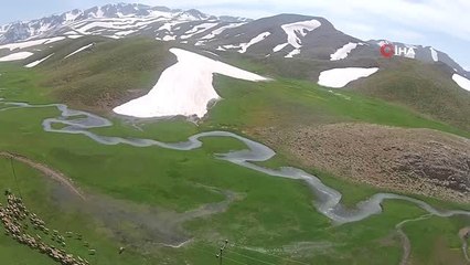 - Antalya'da Yörüklerin yayla göçü başladı