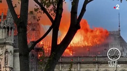 Incendie de Notre-Dame de Paris : le taux de plomb inquiète