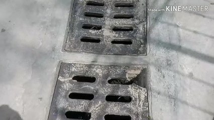 Andria: attenzione a questo tombino danneggiato, pericolo per i pedoni! Ecco dove si trova