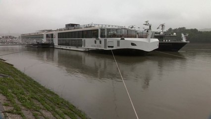 '뺑소니 의혹' 크루즈 선장, 보석 여부 놓고 논란 / YTN