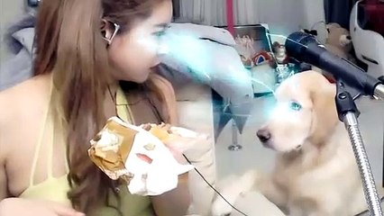 원주출장안마 후불100%ョ010a6686a5378｛카톡FC81｝원주전지역출장마사지샵'예약'원주출장lc안마lc원주출장안마cos여3원주마사지황형▤∬←