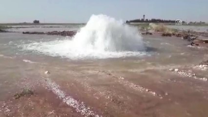 Sulama borusu patlayınca ekili alanları su bastı