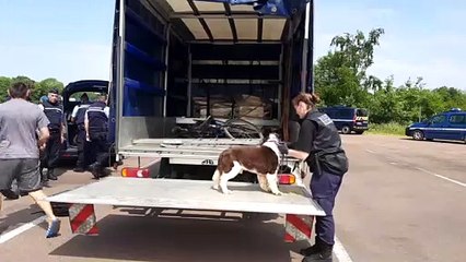 Contrôle des flux : un travail au quotidien pour les gendarmes de la Meuse