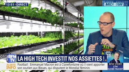 Des repas imaginés par une intelligence artificielle