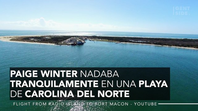 Un padre libera a su hijas de las mandíbulas de un tiburón con varios golpes