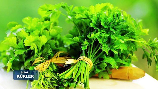 Şifalı Kürler | Depresyon ve panik atak