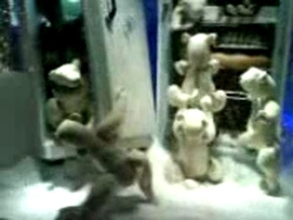 Vitrines du Printemps