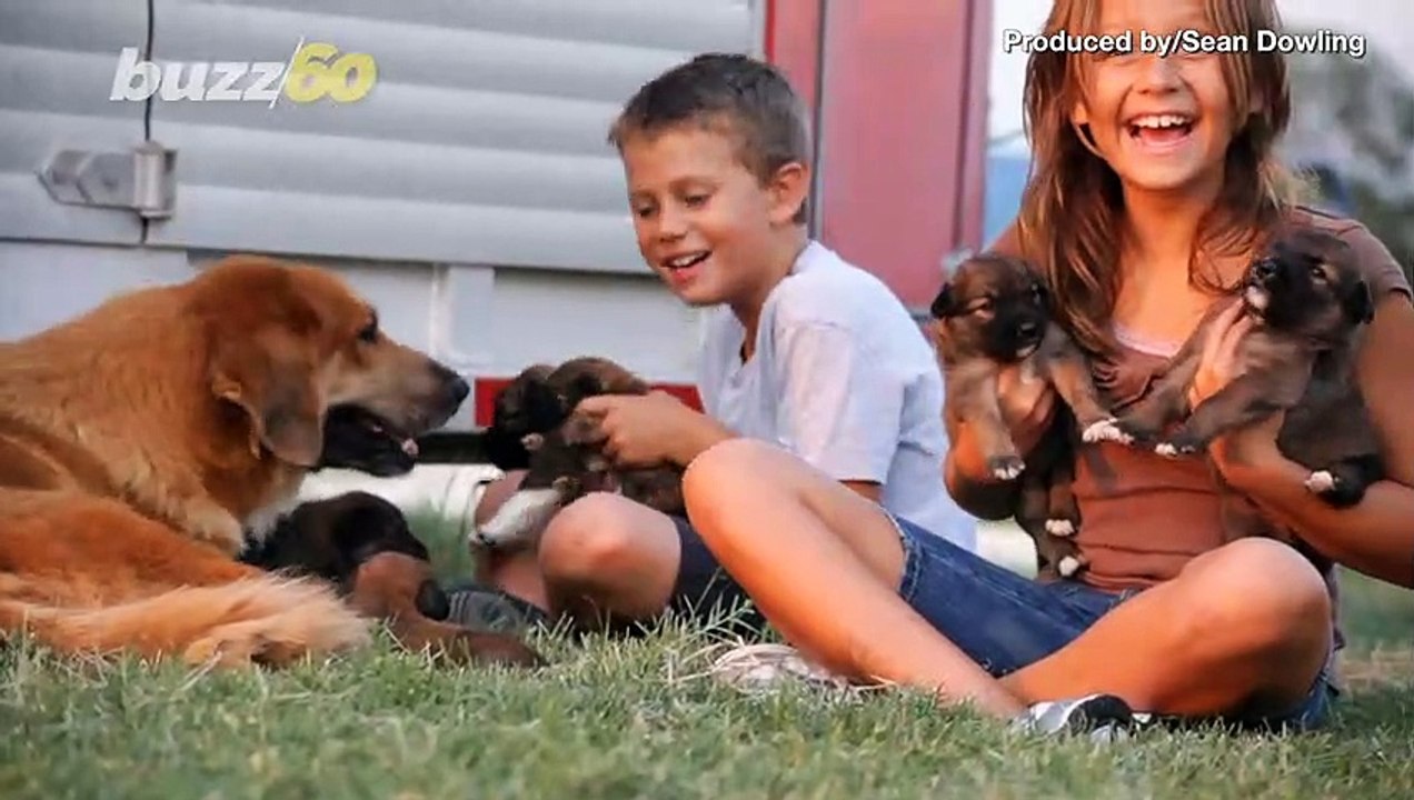 Go Fetch! 5 Ways to Tell if You’re Ready For Multiple Pets