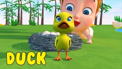 Kinderlieder Bildung Für Kinder - Doktor KING KONG und Baby weigert sich zu baden |BaBy KING KONG