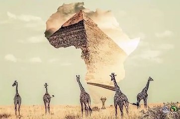 المصريون يبدعون في تصميم شعار لكأس الأمم الأفريقية 2019