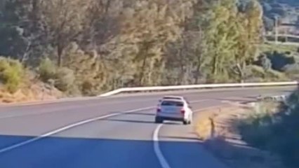 El juego de muerte de un kamikace ebrio: quién aguanta más frente a frente