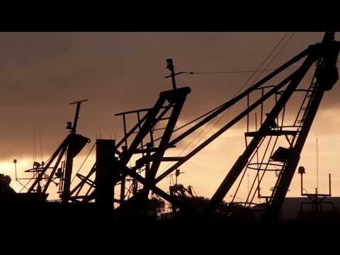 Fragmentos del Himno Nacional Argentino - (Día a noche)