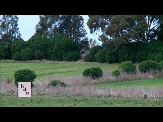 Unidad Demostrativa Agroecológica Balcarce - UNMdP/INTA