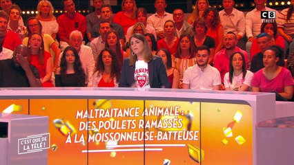 La vidéo de poulets ramassés à la moissonneuse-batteuse fait scandale !