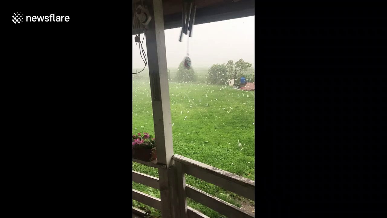 Oh hail no: enormous egg-sized hail bombards Romanian backyard