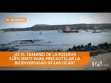 Gobierno analizará si 200 millas de zona exclusiva de Galápagos son suficientes - Teleamazonas