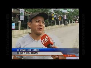 #EnVivoTA Noticiero 24 HORAS Emision Central Teleamazonas