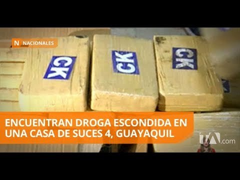 Decomisan cerca una tonelada de droga en Sauces 4 - Teleamazonas