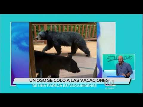 #HoyEcuador #EnVivoTA