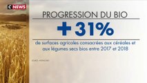 L’agriculture bio en plein essor en France