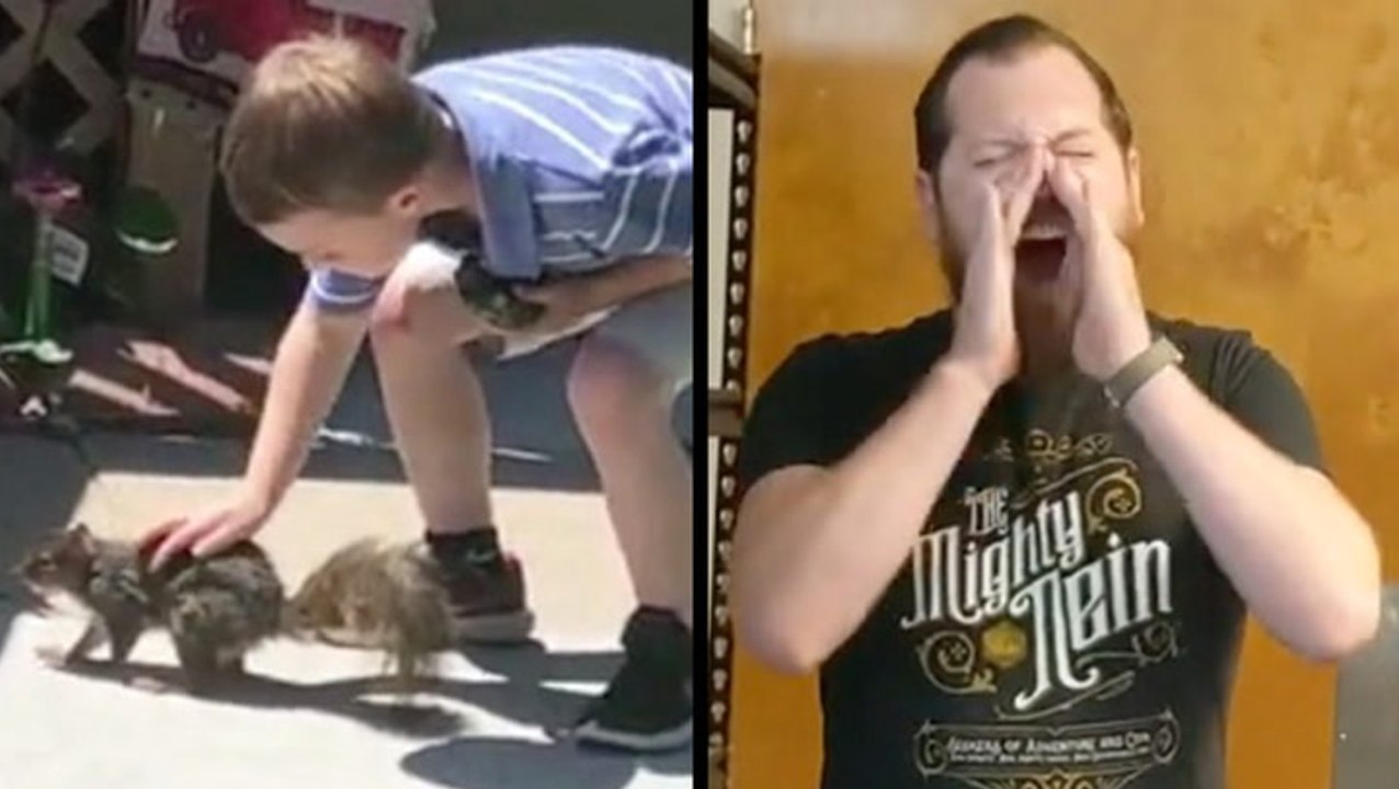 Boy Befriends Squirrel & Barking Like A Dog