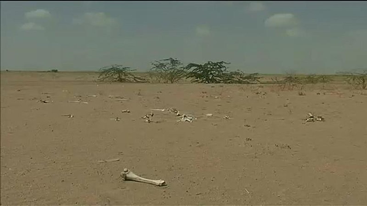 Сколько будет стоить изменение климата?